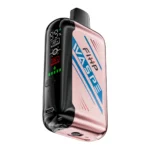 WASPE 30000 PUFFS Dual Mesh Box