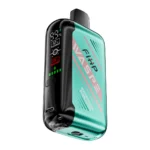 WASPE 30000 PUFFS Dual Mesh Box
