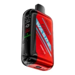 WASPE 30000 PUFFS Dual Mesh Box