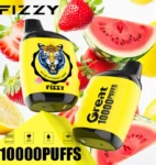 Fizzy Great 10000 10K Puffs 2% 5% Nicotine Original Edition Disposable Vape