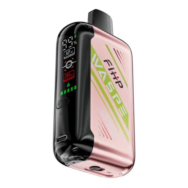 WASPE 30000 PUFFS Dual Mesh Box