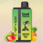 Best Bug 30000 Puffs Disposable Vape 2 In 1 E Cigarette Vaporizer In Stock