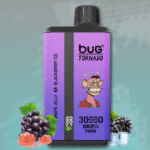 Best Bug 30000 Puffs Disposable Vape 2 In 1 E Cigarette Vaporizer In Stock