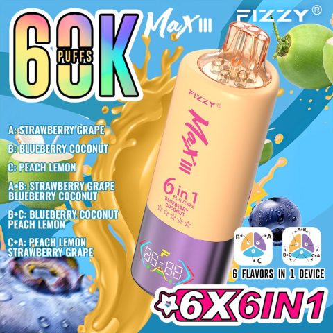 FIZZY MAX III 6in1 flavors 60k 60000 puffs Disposable Vape in EU warehouse 7