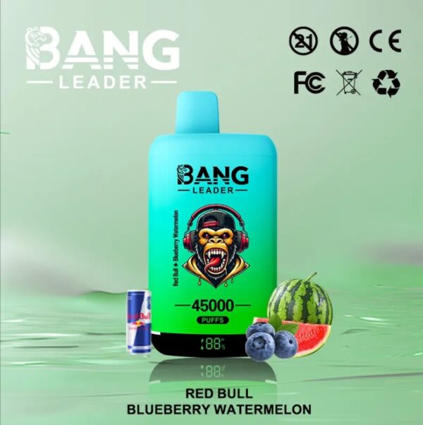 Bang Leader 45K Dual Flavors 2-in-1 Vape 45000 Puffs