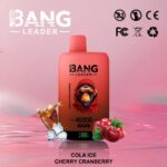 Bang Leader 45K Dual Flavors 2-in-1 Vape 45000 Puffs