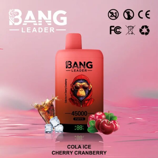 Bang Leader 45K Dual Flavors 2-in-1 Vape 45000 Puffs