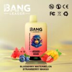 Bang Leader 45K Dual Flavors 2-in-1 Vape 45000 Puffs