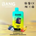 Bang Leader 45K Dual Flavors 2-in-1 Vape 45000 Puffs