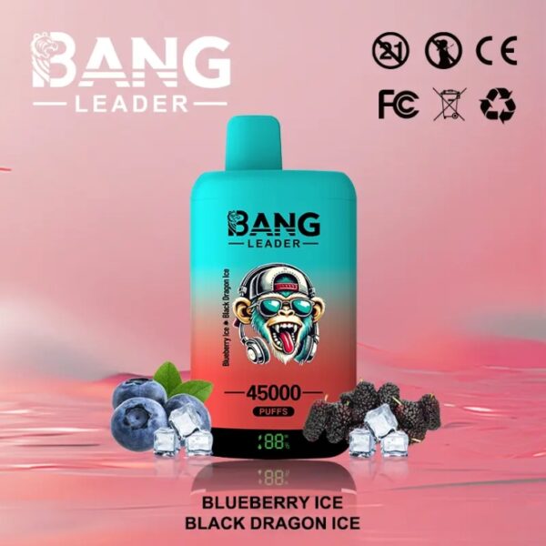 bang leader 45000 puffs 45k 16