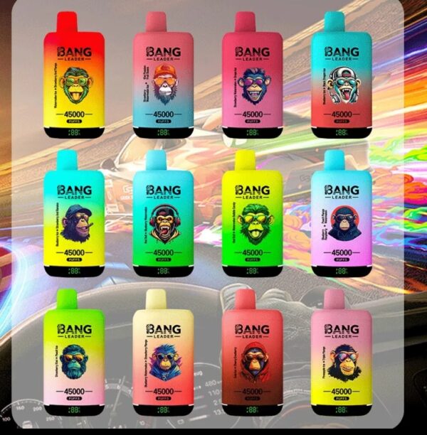Bang Leader 45K Dual Flavors 2-in-1 Vape 45000 Puffs