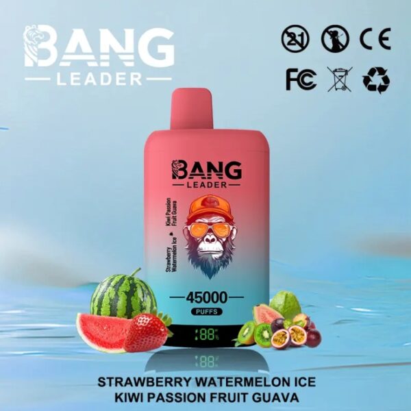 Bang Leader 45K Dual Flavors 2-in-1 Vape 45000 Puffs
