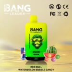 Bang Leader 45K Dual Flavors 2-in-1 Vape 45000 Puffs