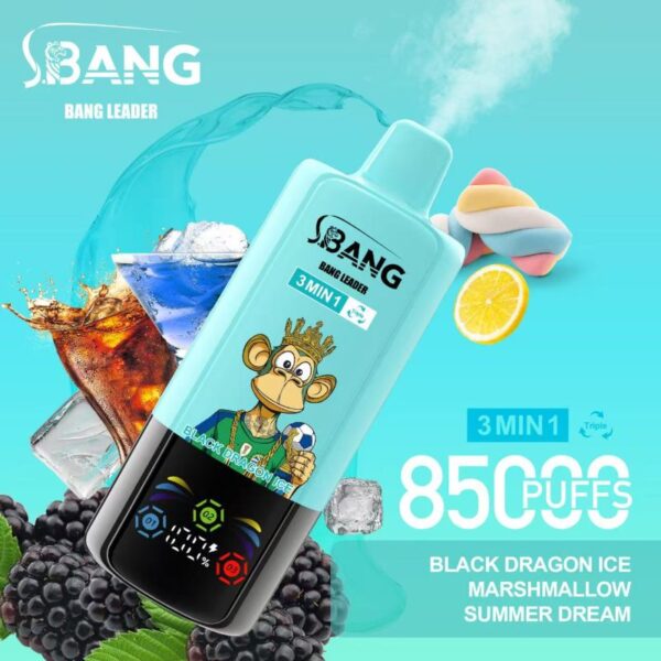 Bang Leader 85000 85K Puffs Triple Flavors 3 in 1 Vapes Disposable Electronic Cigarette