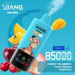 Bang Leader 85000 85K Puffs Triple Flavors 3 in 1 Vapes Disposable Electronic Cigarette