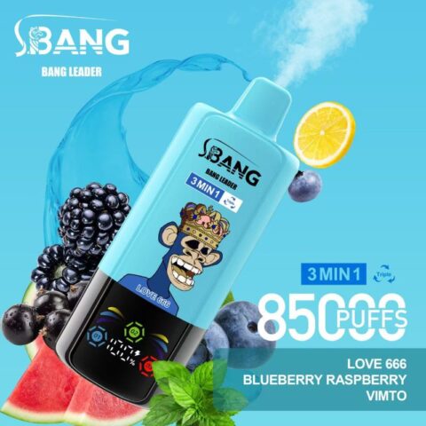 Bang Leader 85000 puffs 2