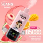 Bang Leader 85000 85K Puffs Triple Flavors 3 in 1 Vapes Disposable Electronic Cigarette
