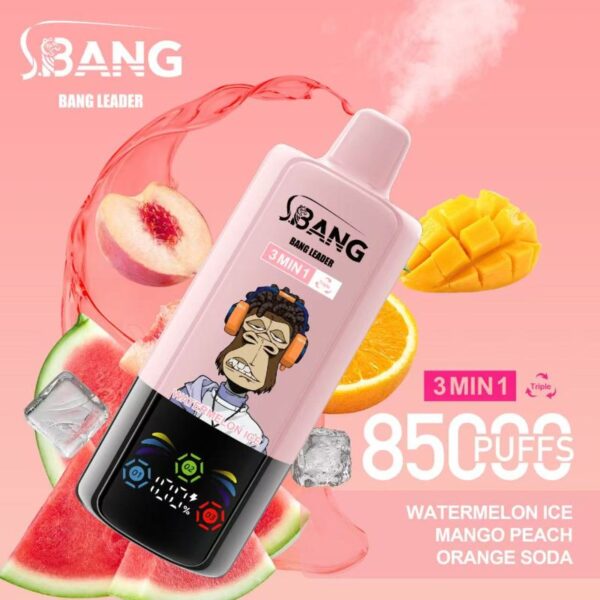 Bang Leader 85000 85K Puffs Triple Flavors 3 in 1 Vapes Disposable Electronic Cigarette