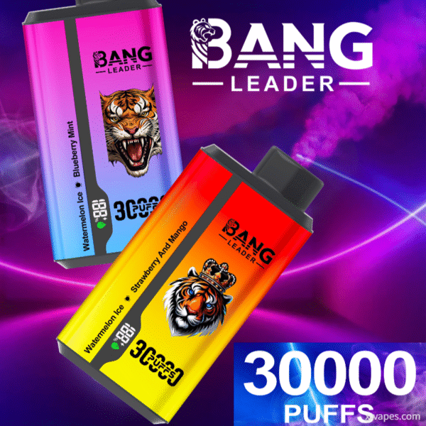 Bang Leader 30000 30k Puffs 0% 2% 3% 5% Nicotine Double Taste Disposable Vape